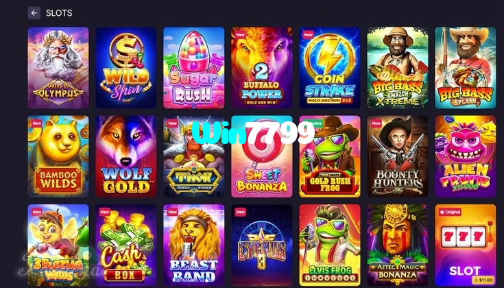 available types of Win7799 bet including pre-match live express and system bets
